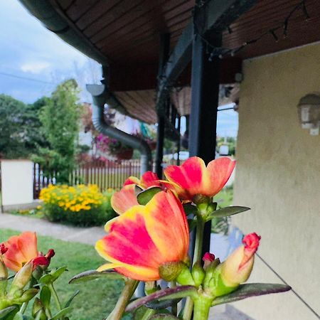 귤러 Cozy Garden Apartman 아파트 외부 사진