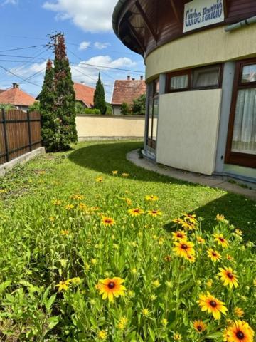 귤러 Cozy Garden Apartman 아파트 외부 사진