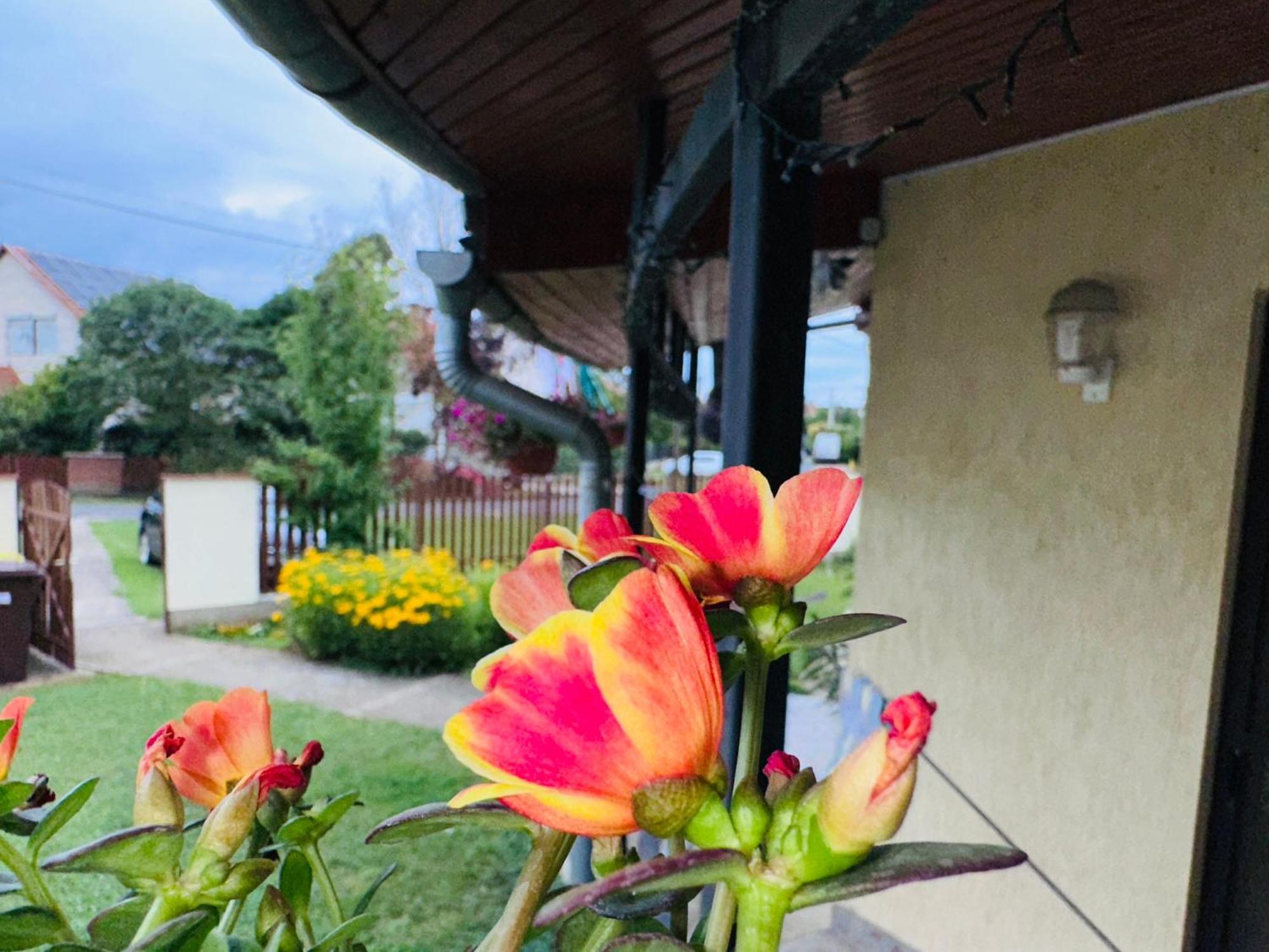 귤러 Cozy Garden Apartman 아파트 외부 사진