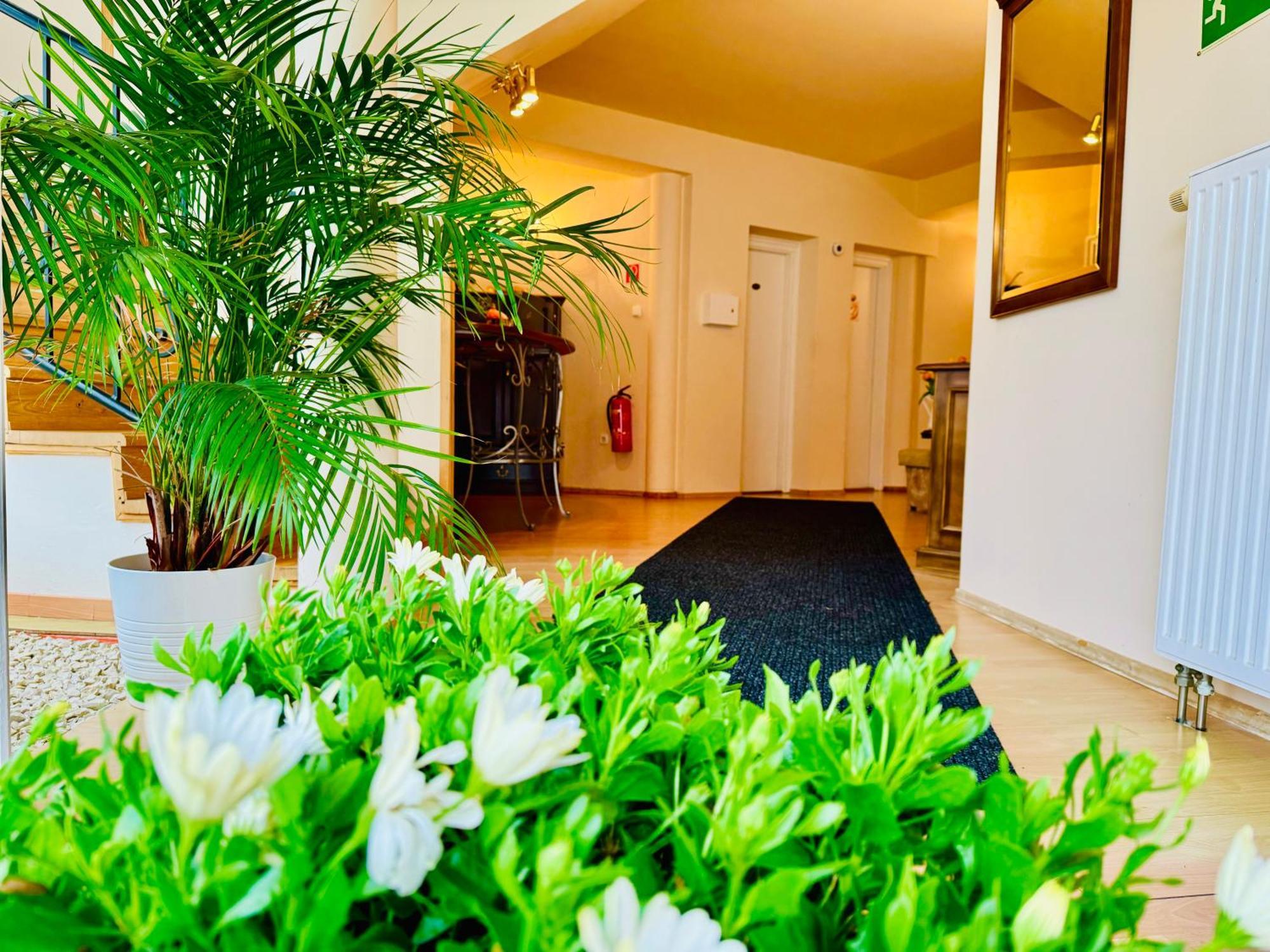 귤러 Cozy Garden Apartman 아파트 외부 사진